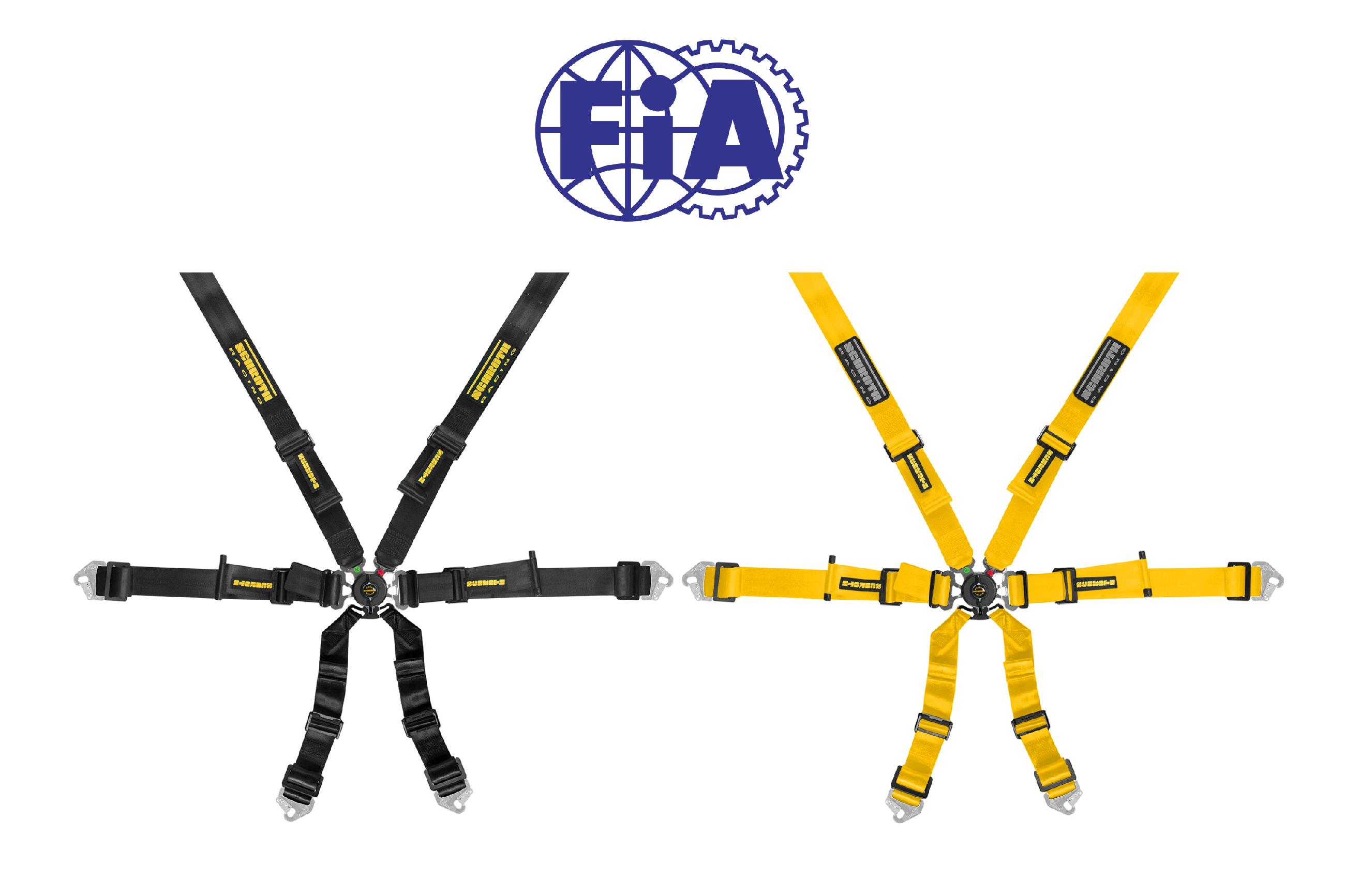 HMS Motorsport » Harnesses